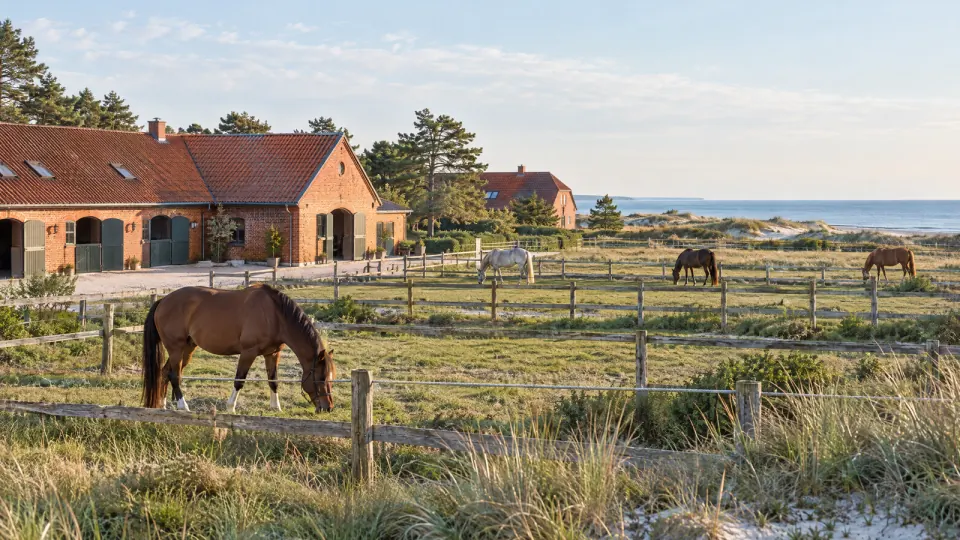 Pferdehof aus Backstein an der Küste, Pferde grasen auf eingezäunten Koppeln, dahinter Dünen und die Ostsee